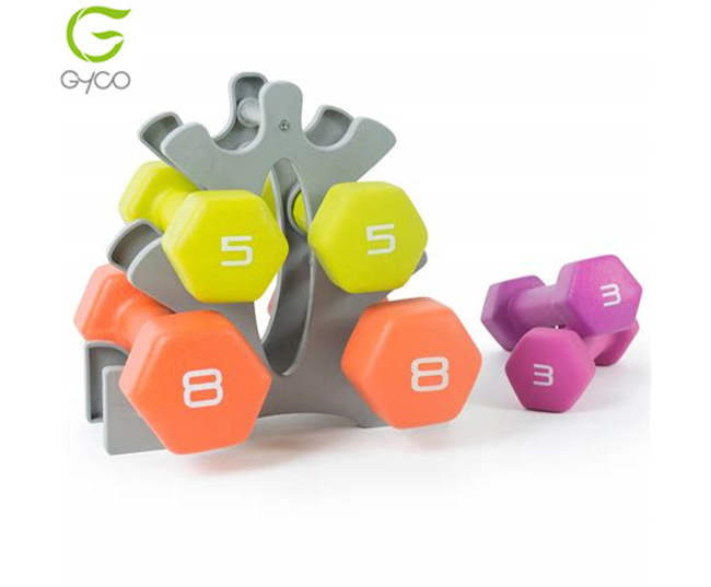 Vinyl Dumbbell Set